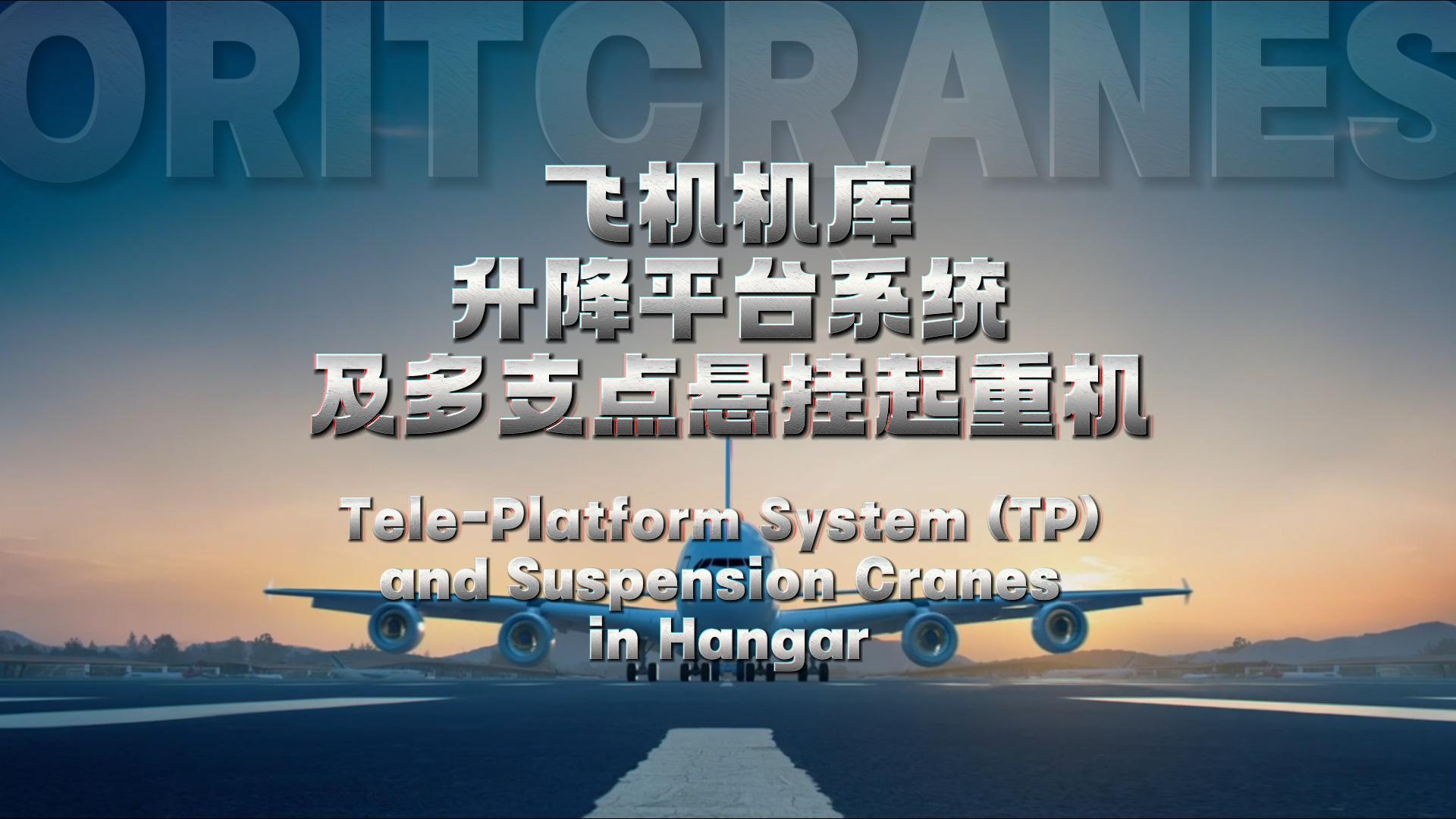 YABO鸭脖航空起重机及升降平台TP